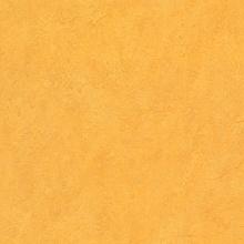 Линолеум Marmoleum Real 3225 Forbo