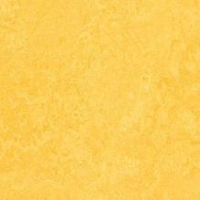 Линолеум Marmoleum Real 3251 Forbo