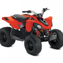 Квадроциклы DS 90 2021