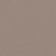 Линолеум Forbo Safestep Aqua 180232 taupe