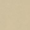 Линолеум Forbo Marmoleum Solid Concrete 3729/372935 mica